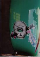 Indian Feather Skull
