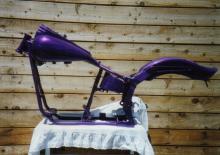 Purple Graphics full